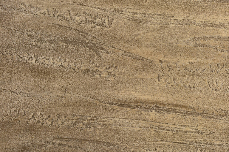 Rialto-Velasil-su-Mediterraneo-Cartagena