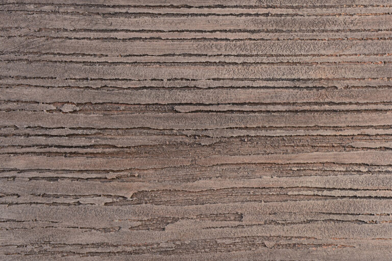 Rialto-Velasil-su-Mediterraneo-Efeso